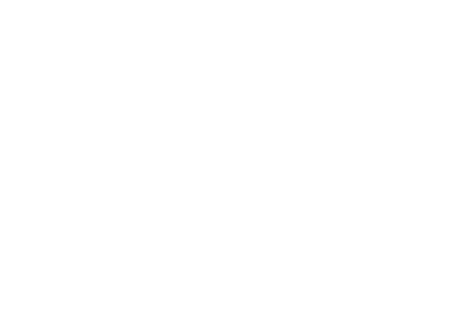 Logo blanc - Sarah La Selva Design graphique