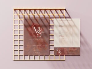 Flyer de MS Institut