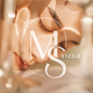Logo de MS Institut